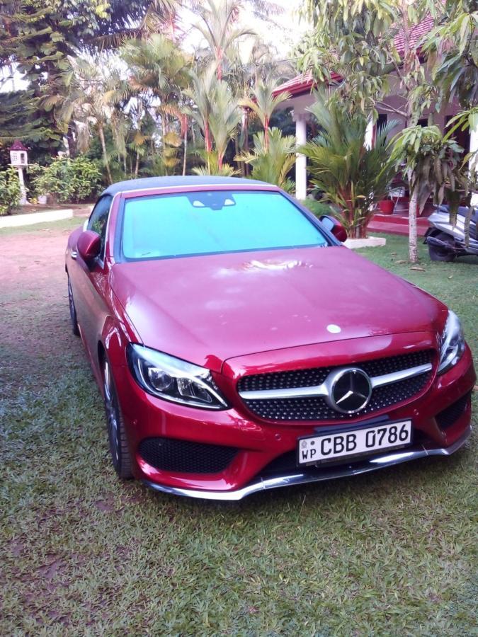 Villa 159 ヒッカドゥワ エクステリア 写真